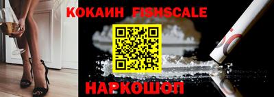 spice Камышлов