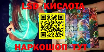 spice Камышлов
