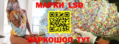 spice Камышлов