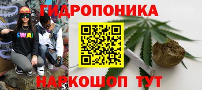 СК Канаш