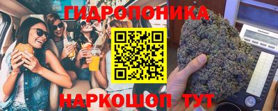 СК Канаш
