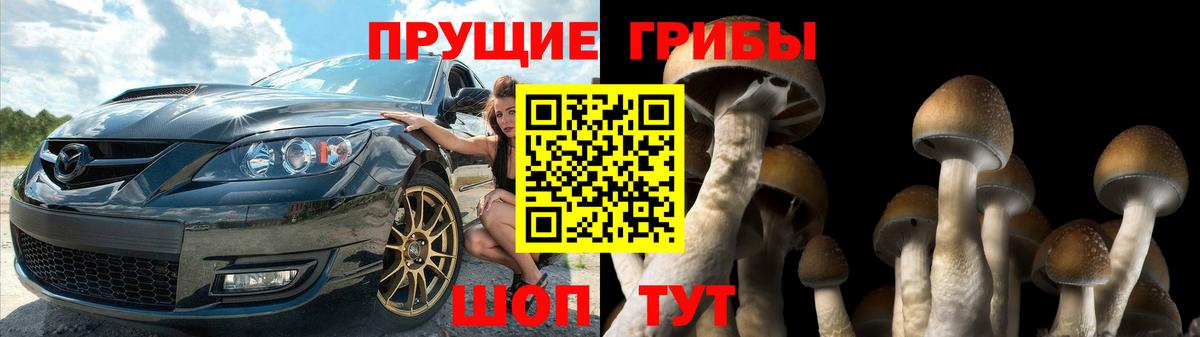Псилоцибиновые грибы мицелий Нурлат